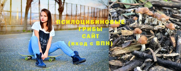 гашик Абинск