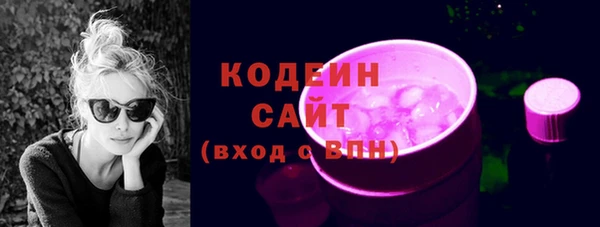 индика Покровск