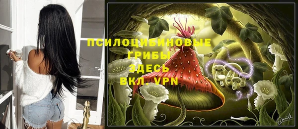 индика Покровск
