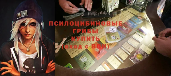 индика Покровск