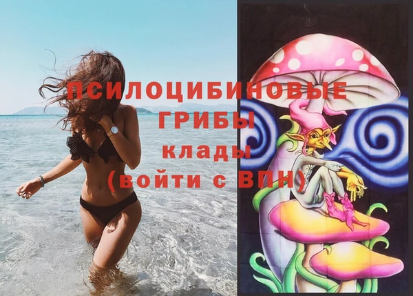 индика Покровск